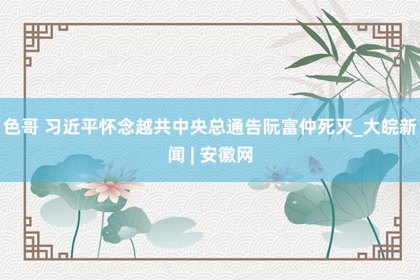 色哥 习近平怀念越共中央总通告阮富仲死灭_大皖新闻 | 安徽网