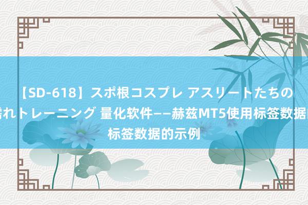 【SD-618】スポ根コスプレ アスリートたちの濡れ濡れトレーニング 量化软件——赫兹MT5使用标签数据的示例