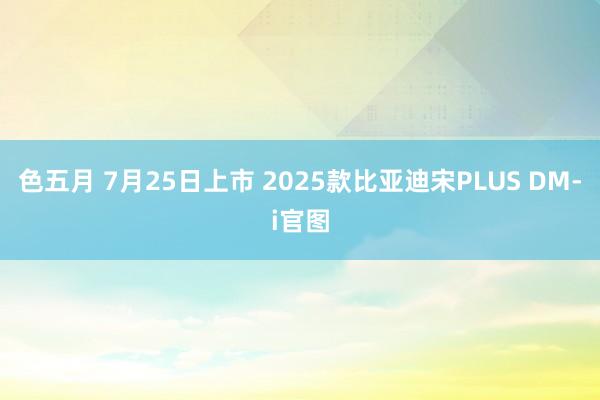 色五月 7月25日上市 2025款比亚迪宋PLUS DM-i官图