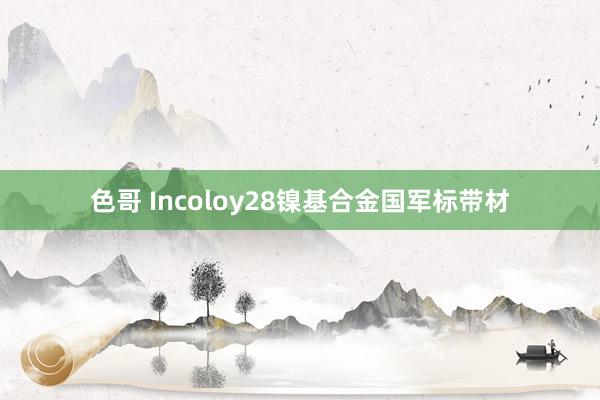 色哥 Incoloy28镍基合金国军标带材