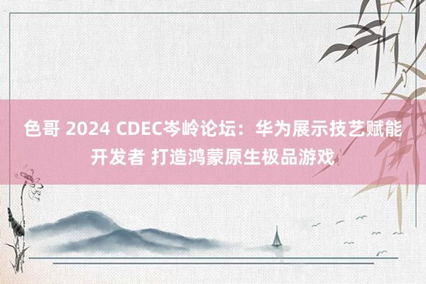 色哥 2024 CDEC岑岭论坛：华为展示技艺赋能开发者 打造鸿蒙原生极品游戏