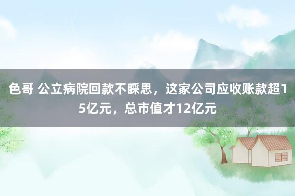 色哥 公立病院回款不睬思，这家公司应收账款超15亿元，总市值才12亿元