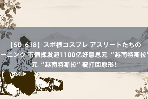 【SD-618】スポ根コスプレ アスリートたちの濡れ濡れトレーニング 市值挥发超1100亿好意思元 “越南特斯拉”被打回原形！