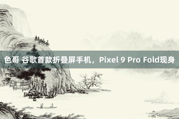 色哥 谷歌首款折叠屏手机，Pixel 9 Pro Fold现身