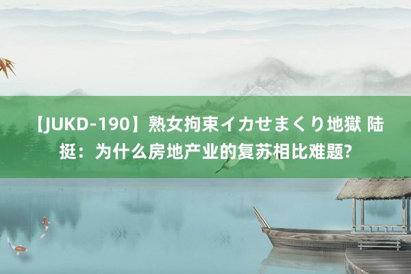 【JUKD-190】熟女拘束イカせまくり地獄 陆挺：为什么房地产业的复苏相比难题?