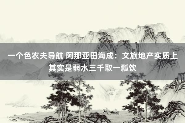 一个色农夫导航 阿那亚田海成：文旅地产实质上其实是弱水三千取一瓢饮