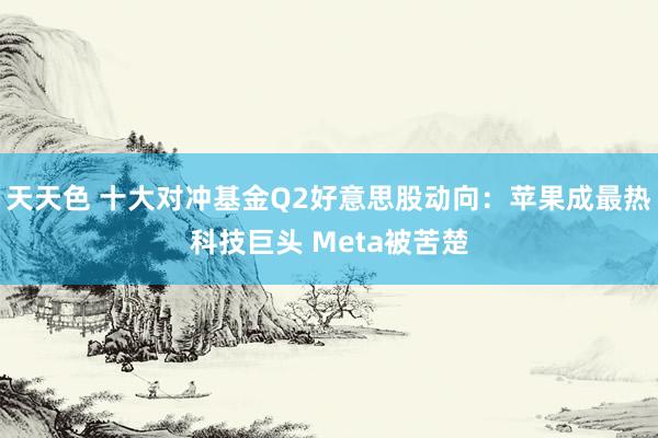 天天色 十大对冲基金Q2好意思股动向：苹果成最热科技巨头 Meta被苦楚