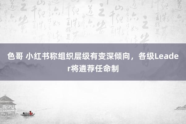 色哥 小红书称组织层级有变深倾向，各级Leader将遴荐任命制