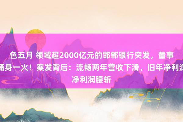 色五月 领域超2000亿元的邯郸银行突发，董事长被捅身一火！案发背后：流畅两年营收下滑，旧年净利润腰斩