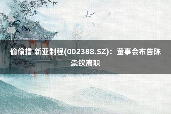 偷偷撸 新亚制程(002388.SZ)：董事会布告陈崇钦离职