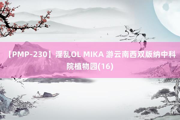 【PMP-230】淫乱OL MIKA 游云南西双版纳中科院植物园(16)