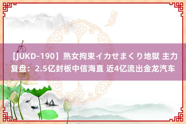 【JUKD-190】熟女拘束イカせまくり地獄 主力复盘：2.5亿封板中信海直 近4亿流出金龙汽车