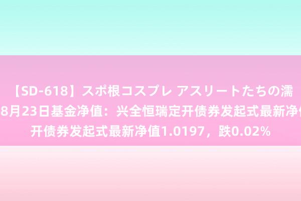 【SD-618】スポ根コスプレ アスリートたちの濡れ濡れトレーニング 8月23日基金净值：兴全恒瑞定开债券发起式最新净值1.0197，跌0.02%
