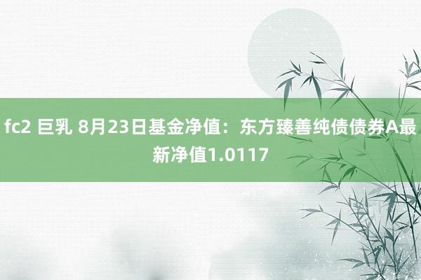 fc2 巨乳 8月23日基金净值：东方臻善纯债债券A最新净值1.0117