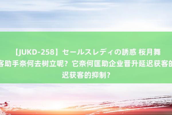 【JUKD-258】セールスレディの誘惑 桜月舞 他 获客助手奈何去树立呢？它奈何匡助企业晋升延迟获客的抑制？