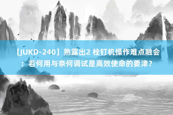 【JUKD-240】熟露出2 栓钉机操作难点融会：若何用与奈何调试是高效使命的要津？