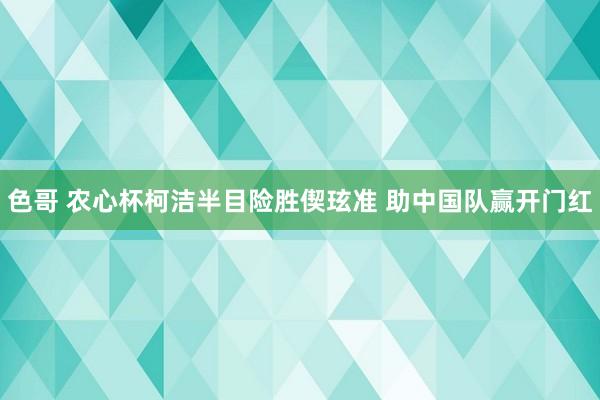 色哥 农心杯柯洁半目险胜偰玹准 助中国队赢开门红