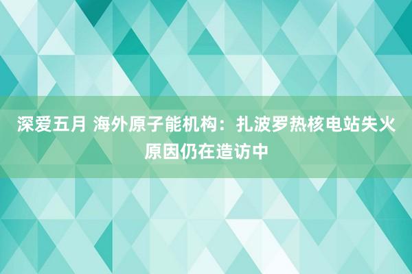 深爱五月 海外原子能机构：扎波罗热核电站失火原因仍在造访中