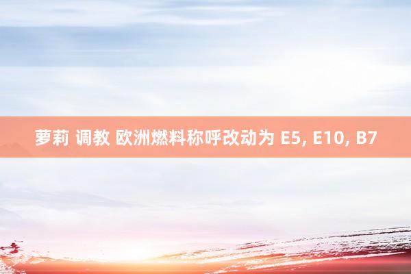 萝莉 调教 欧洲燃料称呼改动为 E5， E10， B7