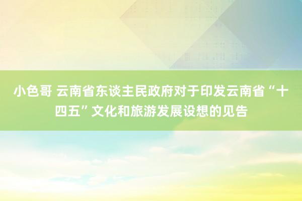 小色哥 云南省东谈主民政府对于印发云南省“十四五”文化和旅游发展设想的见告