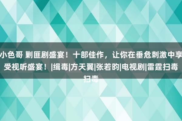 小色哥 剿匪剧盛宴！十部佳作，让你在垂危刺激中享受视听盛宴！|缉毒|方天翼|张若昀|电视剧|雷霆扫毒