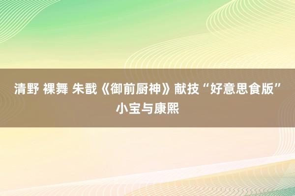 清野 裸舞 朱戬《御前厨神》献技“好意思食版”小宝与康熙