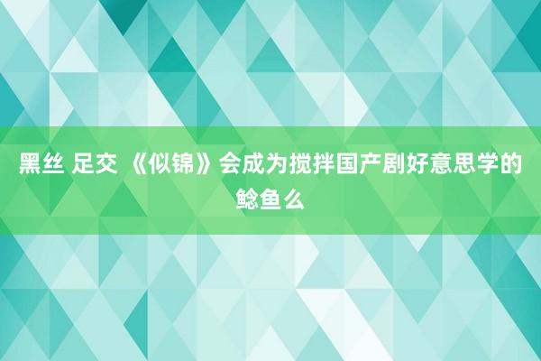 黑丝 足交 《似锦》会成为搅拌国产剧好意思学的鲶鱼么